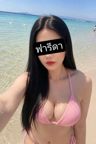 80841308